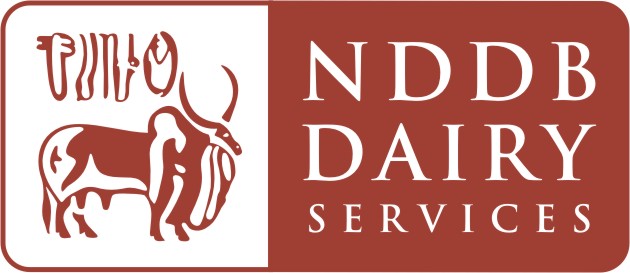 NDS Logo